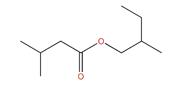 2-Methylbutyl 3-methylbutanoate